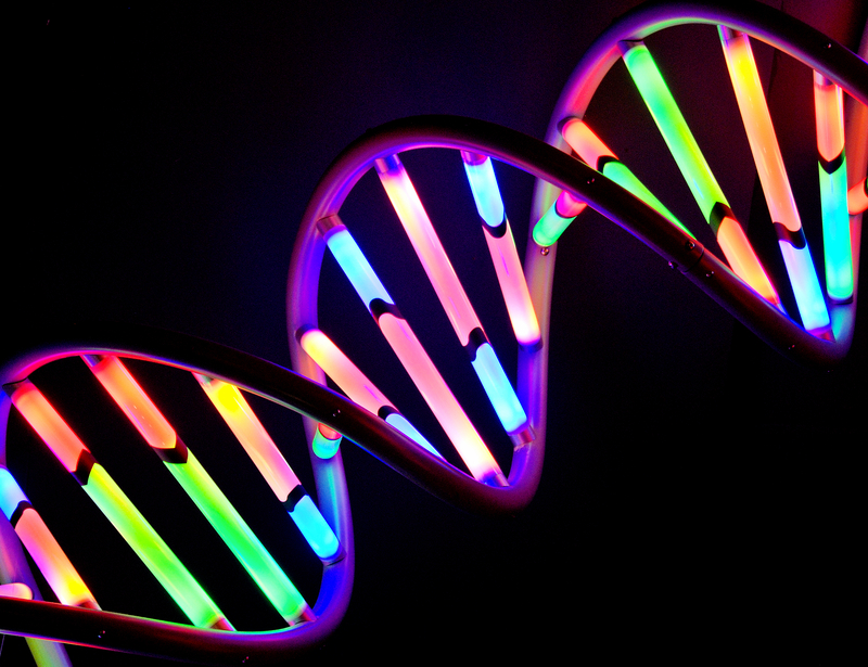 Genetic Breadcrumbs: Following DNA to Find the Mysterious Mr. Max