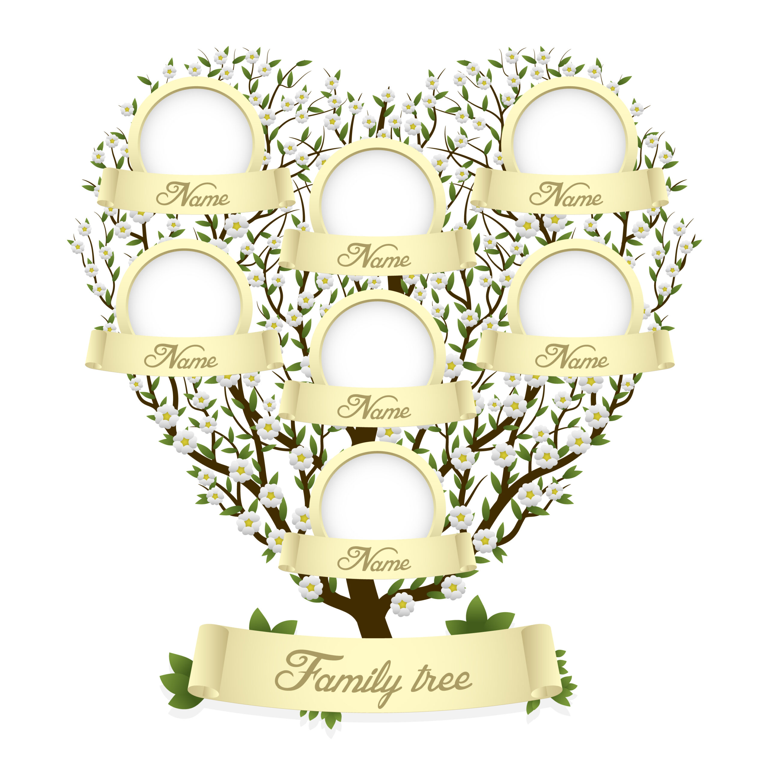 Diving Into the Names That Built Our Family Tree