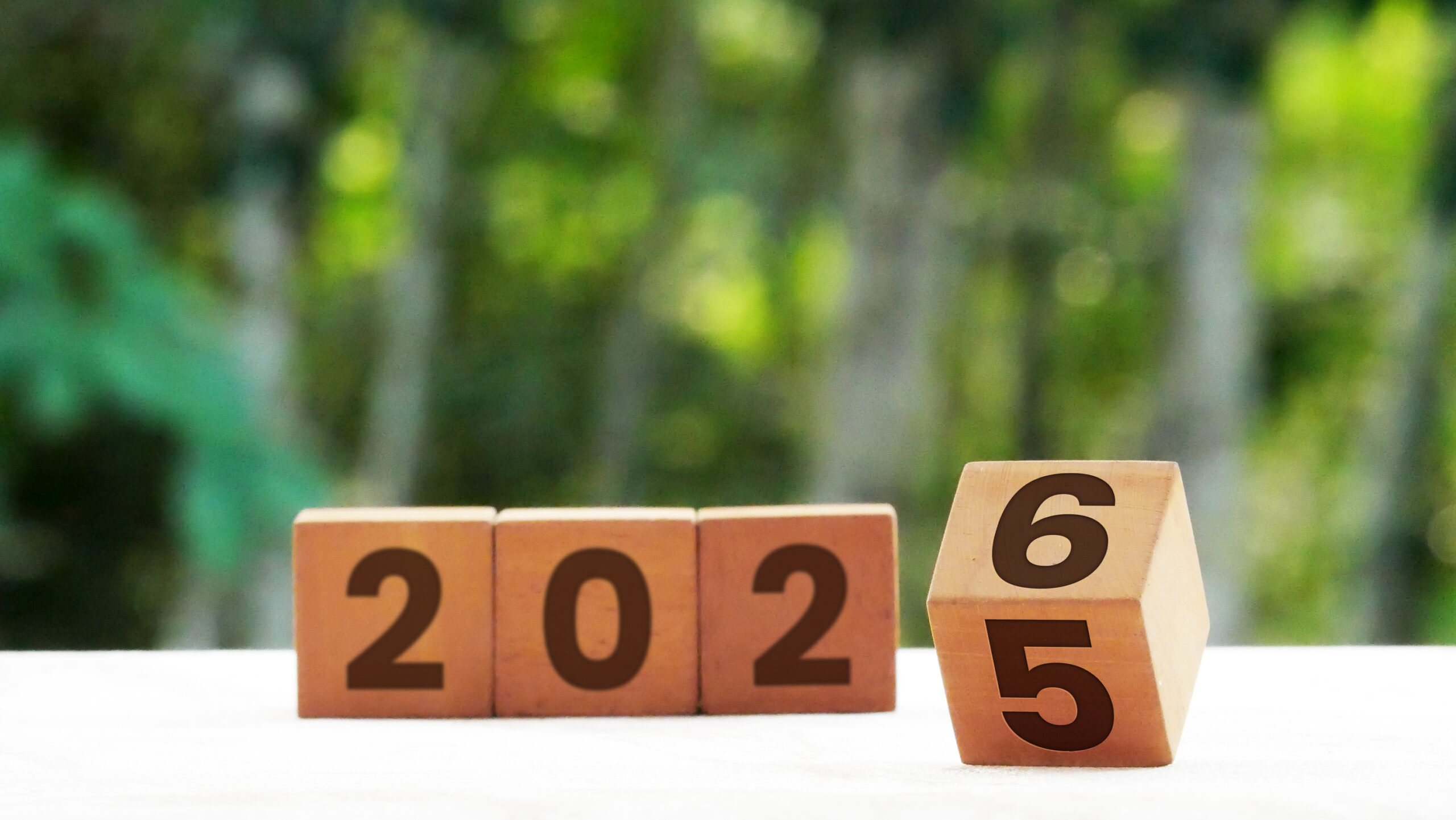 Memorable Genealogy Year: A Year of Growth and Discovery